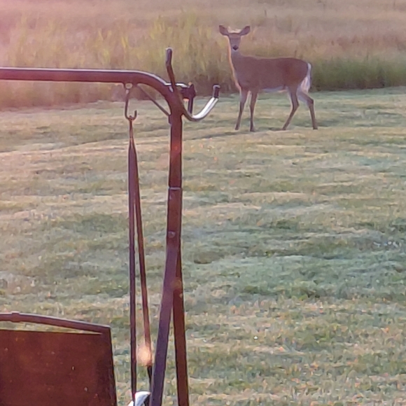 Meet your Posher, Cyndi - Picture 3 of 7